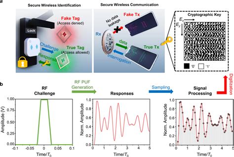 puf clocking system|ClockPUF: Physical Unclonable Functions based on clock networks.